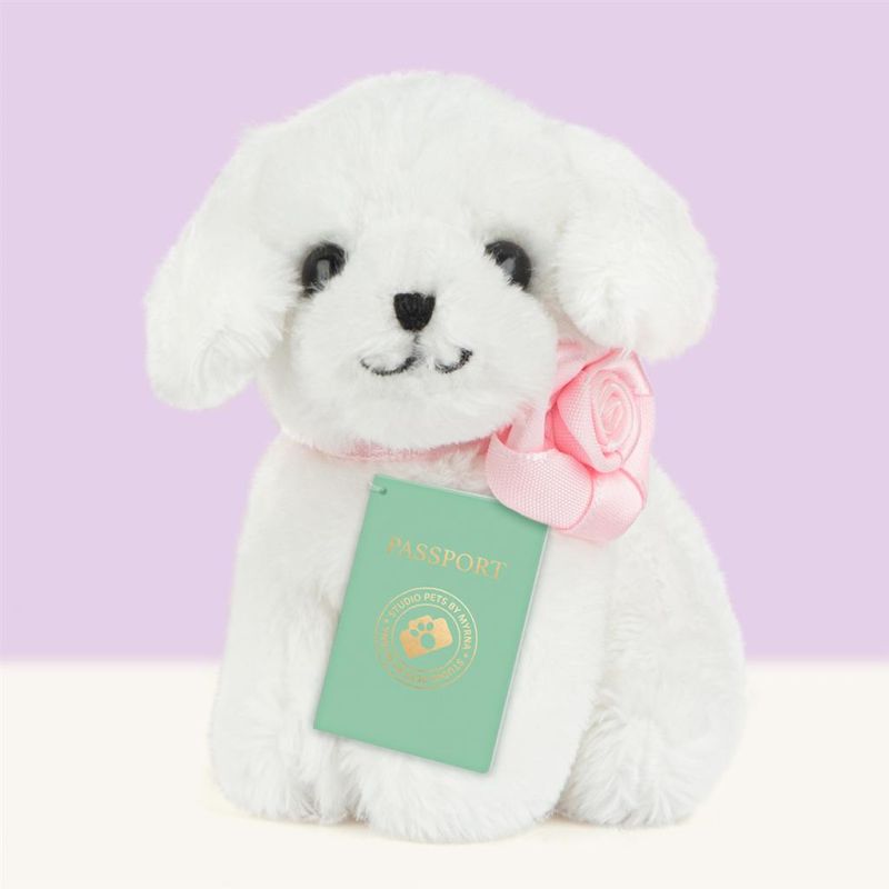 Mini peluche dans sa boîte studio pets - Maltese