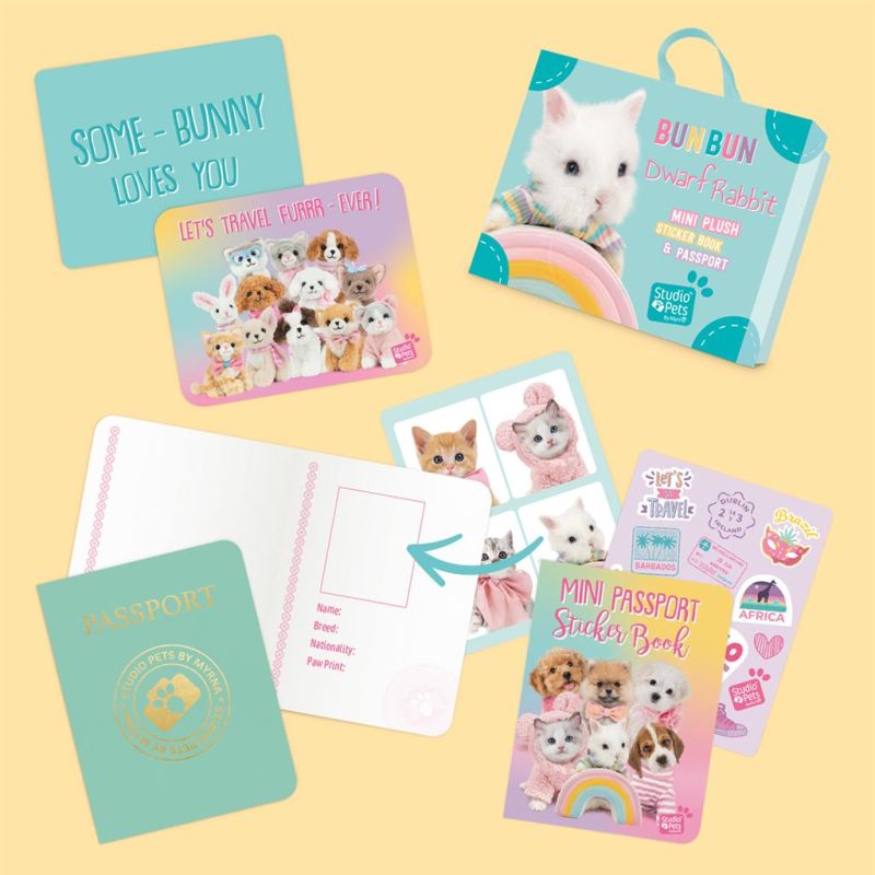 Mini peluche dans sa boîte studio pets - Lapin