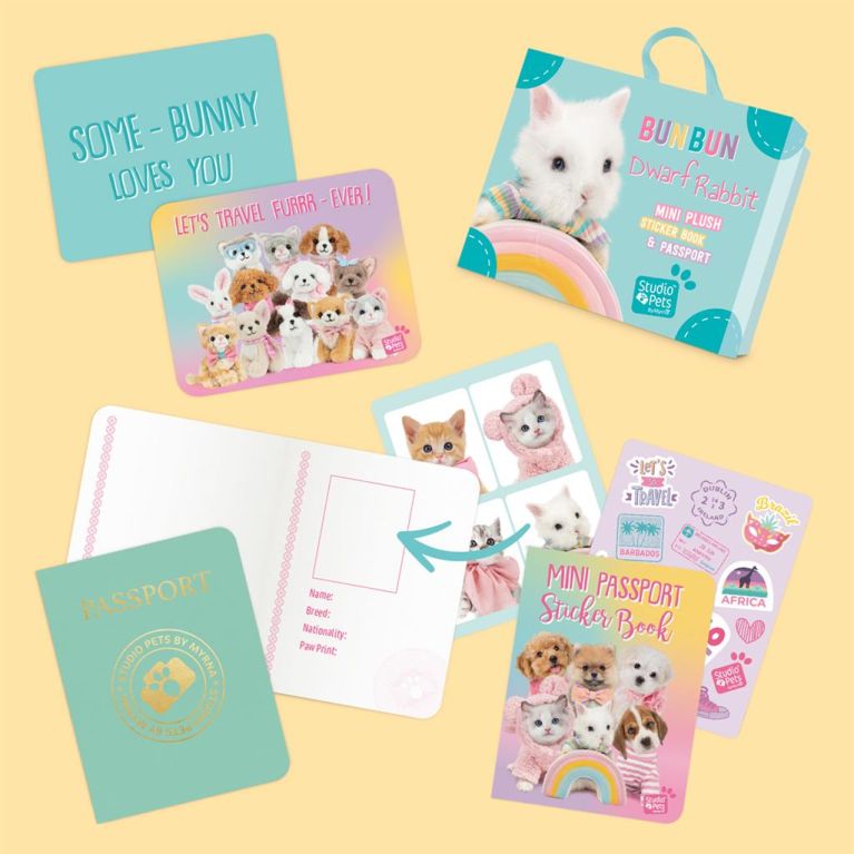 Mini peluche dans sa boîte studio pets - Lapin