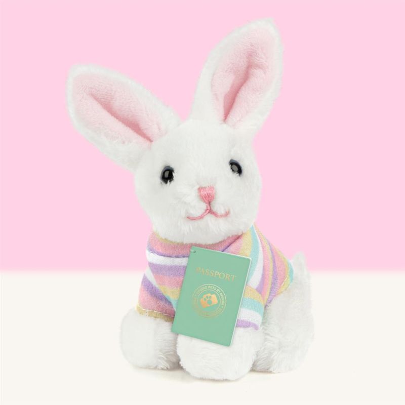 Mini peluche dans sa boîte studio pets - Lapin