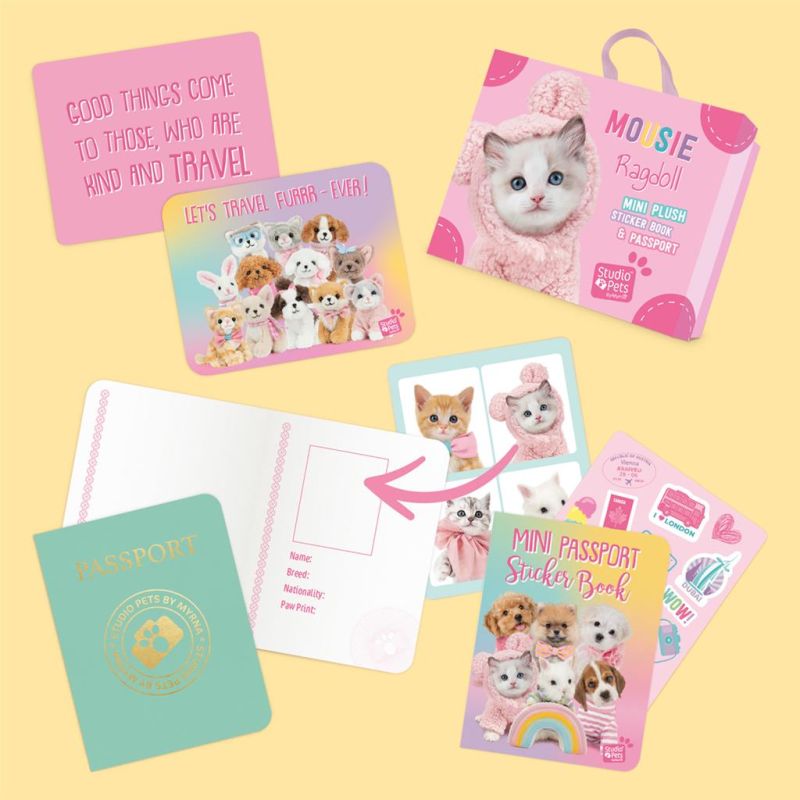 Mini peluche dans sa boîte studio pets - Kitten ragdoll 