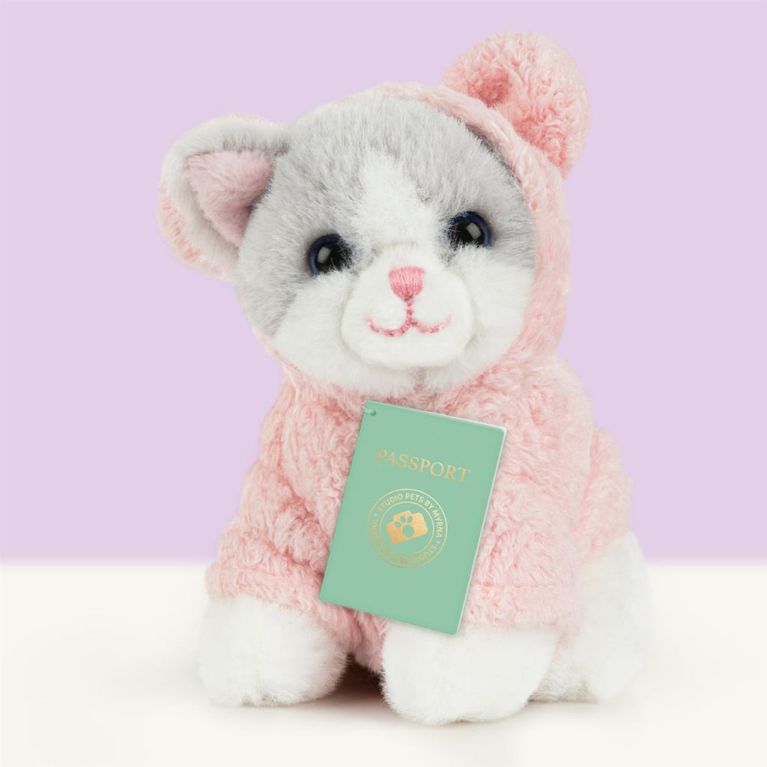 Mini peluche dans sa boîte studio pets - Kitten ragdoll 