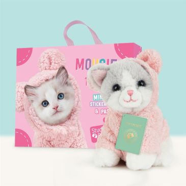 Mini peluche dans sa boîte studio pets - Kitten ragdoll 