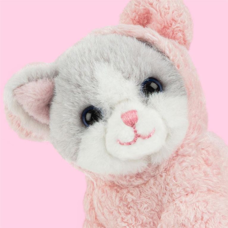 Mini peluche dans sa boîte studio pets - Kitten ragdoll 