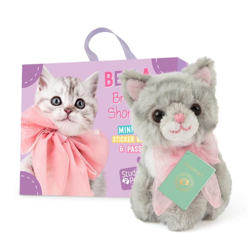 Mini peluche dans sa boîte studio pets - Kitten british shorthair