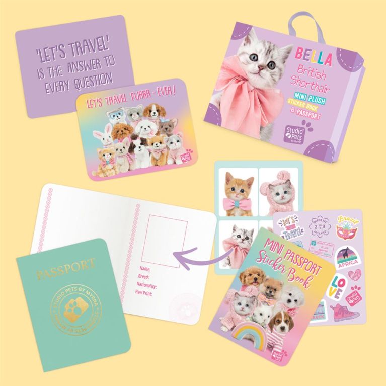 Mini peluche dans sa boîte studio pets - Kitten british shorthair