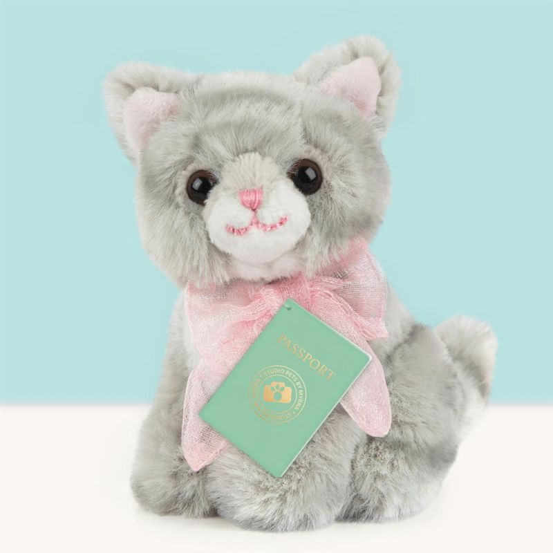 Mini peluche dans sa boîte studio pets - Kitten british shorthair