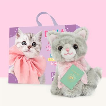 Mini peluche dans sa boîte studio pets - Kitten british shorthair