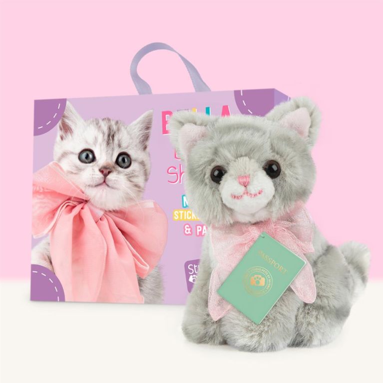 Mini peluche dans sa boîte studio pets - Kitten british shorthair