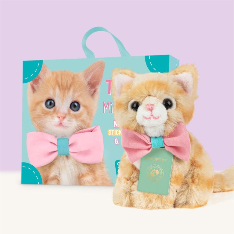 Mini peluche dans sa boîte studio pets - chat européen