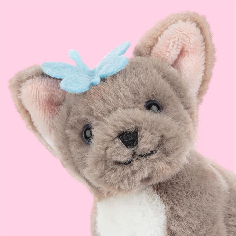 Mini peluche dans sa boîte studio pets - Bulldog