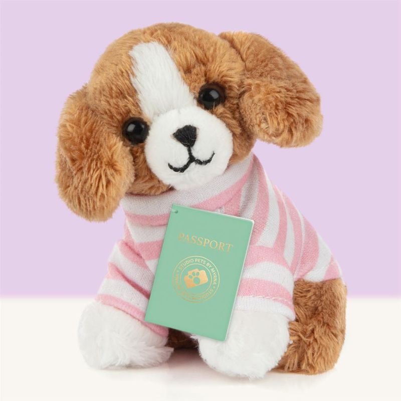 Mini peluche dans sa boîte studio pets - Beagle