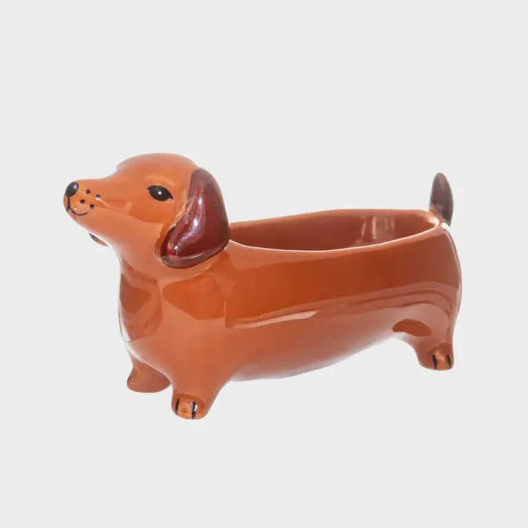 Coupelle - chien saucisse