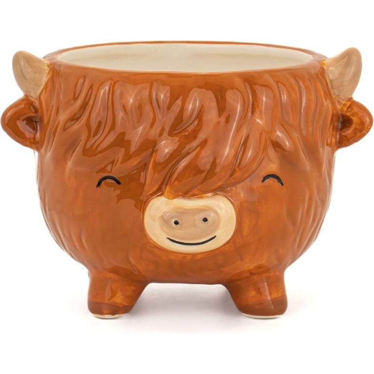 Petit pot à plante highland