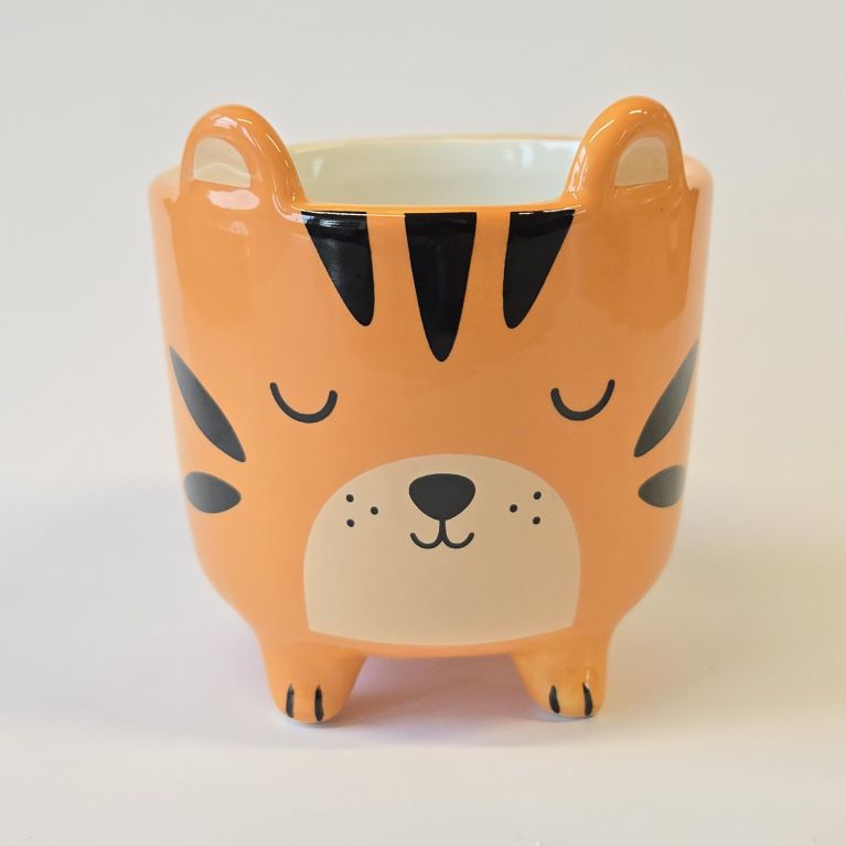 Petit pot à plante tigre