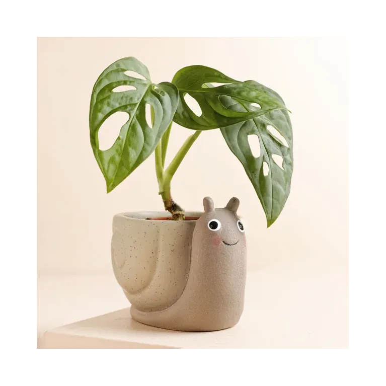 Petit pot de plante - escargot