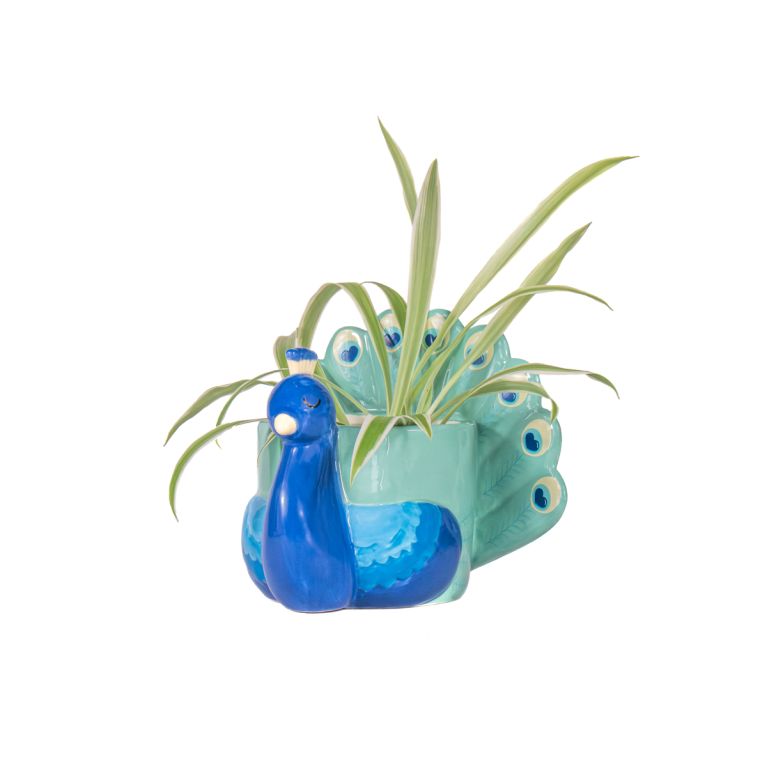 Pot à plante paon