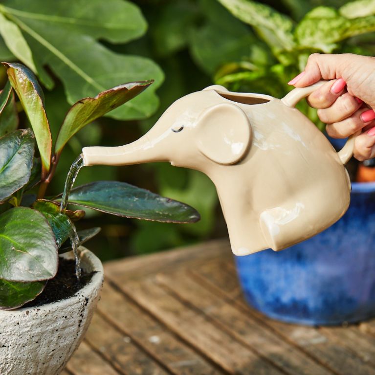 Arrosoir éléphant