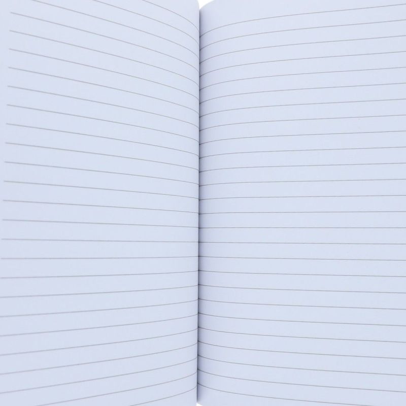 Cahier - Paillettes croquettes 