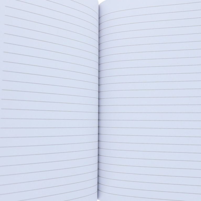 Cahier - Paillettes croquettes 