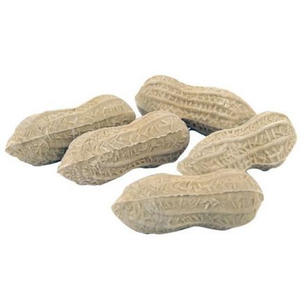 Gomme en forme de cacahuète