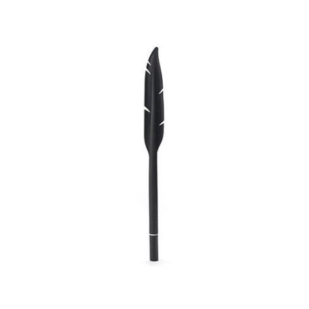 Stylo fine pointe en forme de plume noire 