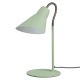 Lampe Gooseneck verte